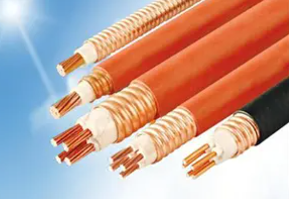 16540480665600.png image.png