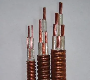 16553528181942.png image.png