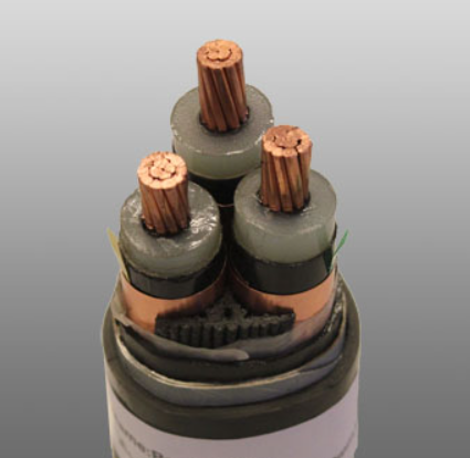 16559521831057.png image.png